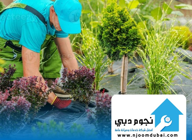 صيانة الحدائق في أم القيوين
