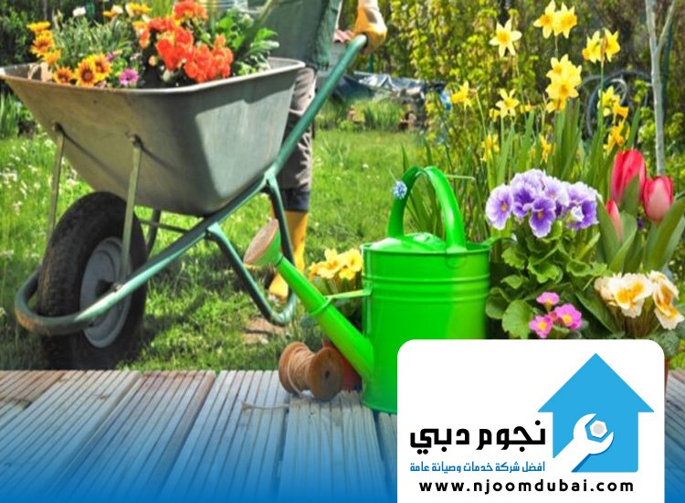 صيانة الحدائق في أم القيوين