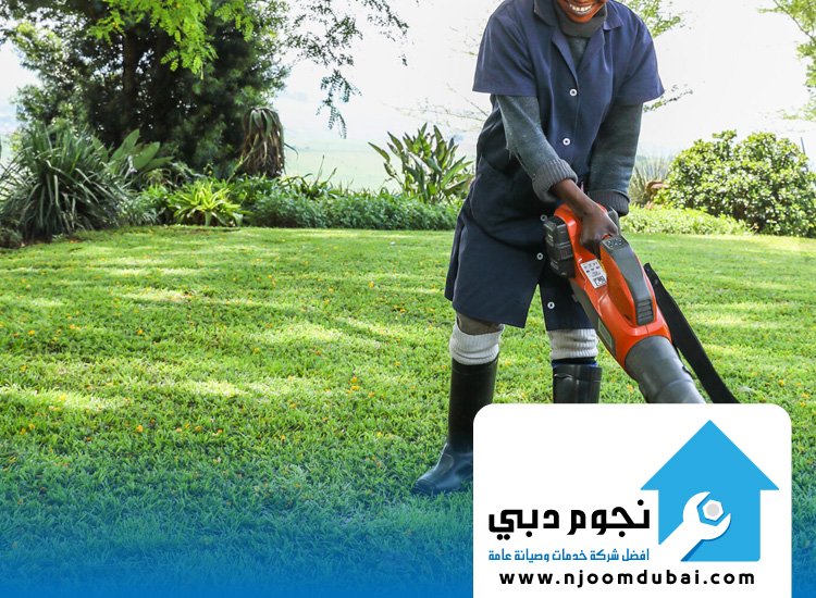 صيانة الحدائق في أم القيوين