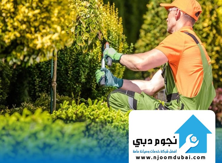 صيانة الحدائق