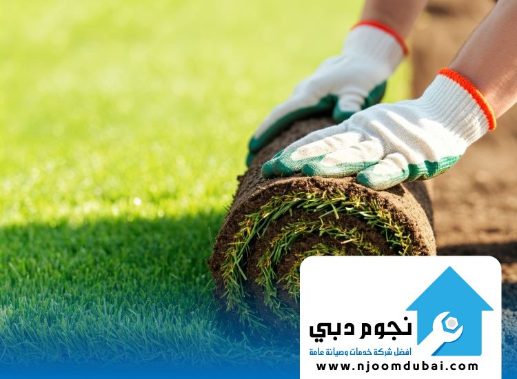 تركيب عشب طبيعي دبي