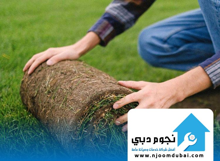 تركيب عشب طبيعي رأس الخيمة