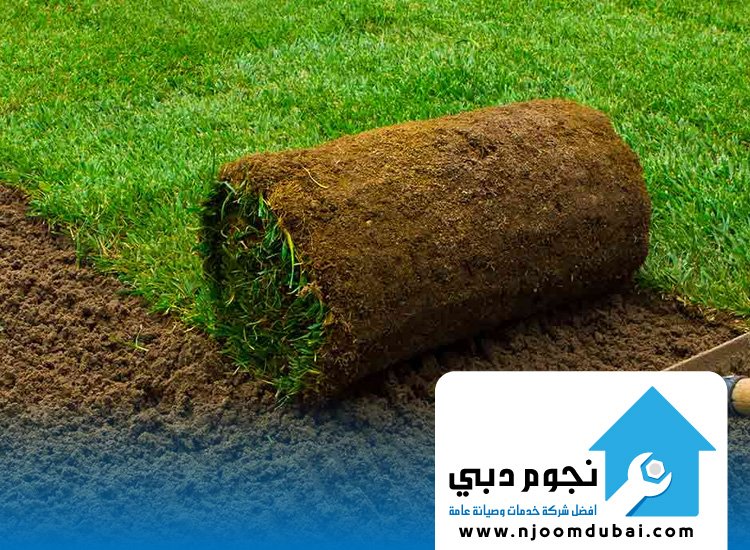 تركيب عشب طبيعي رأس الخيمة