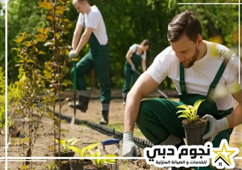 تنسيق الحدائق المنزلية الشارقة 