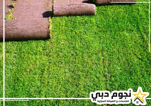 تركيب عشب طبيعي دبي 