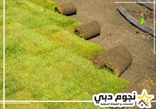 تركيب عشب طبيعي دبي 