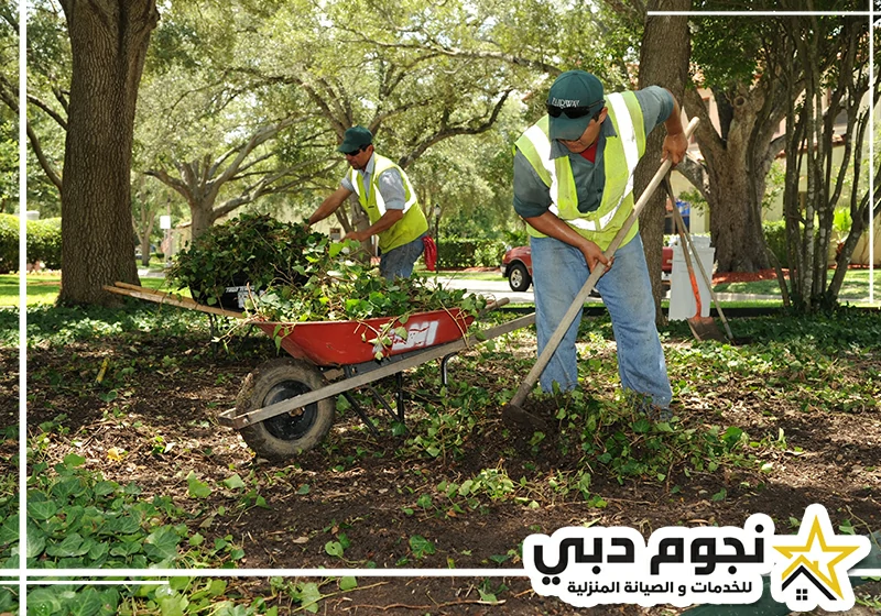 شركة تنسيق حدائق في عجمان