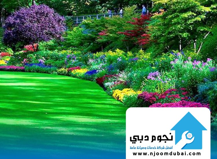 تنسيق حدائق