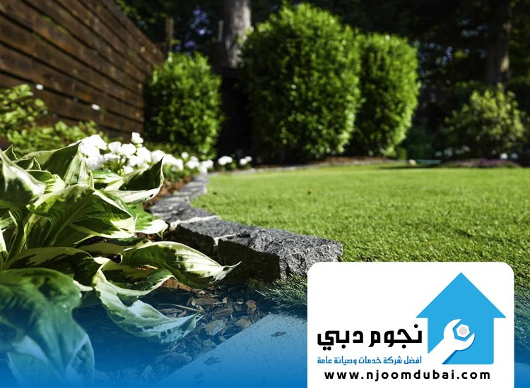 شركة تركيب عشب صناعي في عجمان